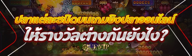 ปลาแต่ละชนิดบน เกมยิงปลาออนไลน์ ให้รางวัลต่างกันยังไง?